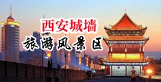 看美女操逼喷水网站中国陕西-西安城墙旅游风景区