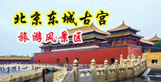 男女性插毛视频中国北京-东城古宫旅游风景区